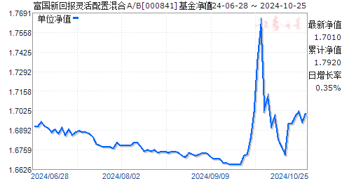 深度解析，001810基金最新净值报告