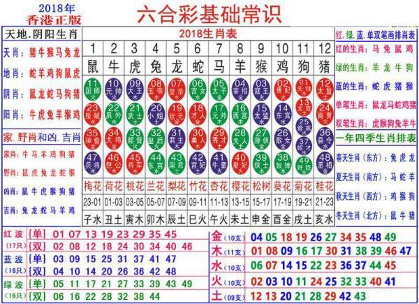 澳门正版资料大全资料生肖卡,整体规划执行讲解_定制版8.315