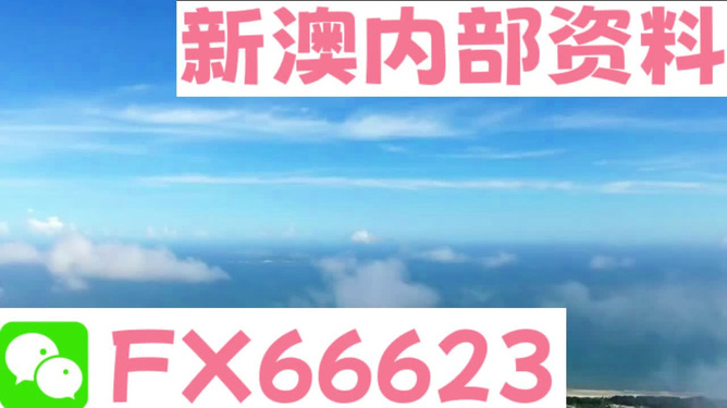 新澳2024年最新版资料,决策资料解释落实_基础版3.339