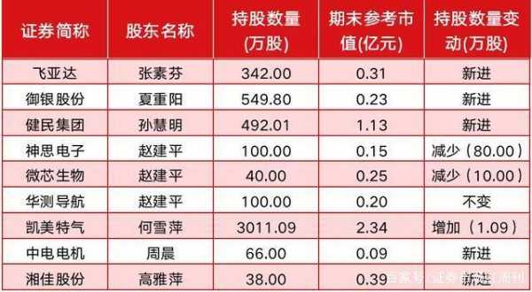 赵建平最新持仓策略深度解析