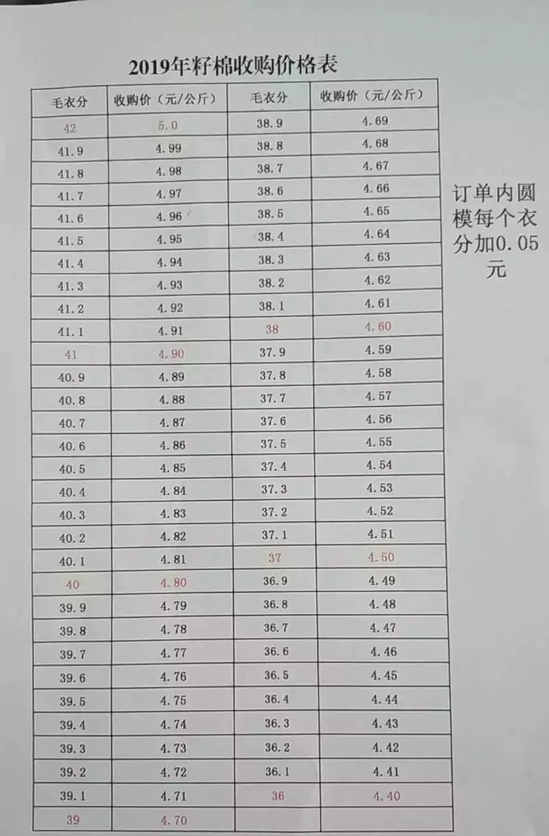 棉子最新价格动态解析与展望