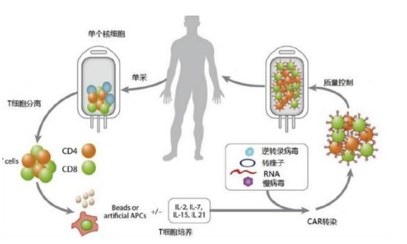 最新癌症治疗方法，突破带来希望之光