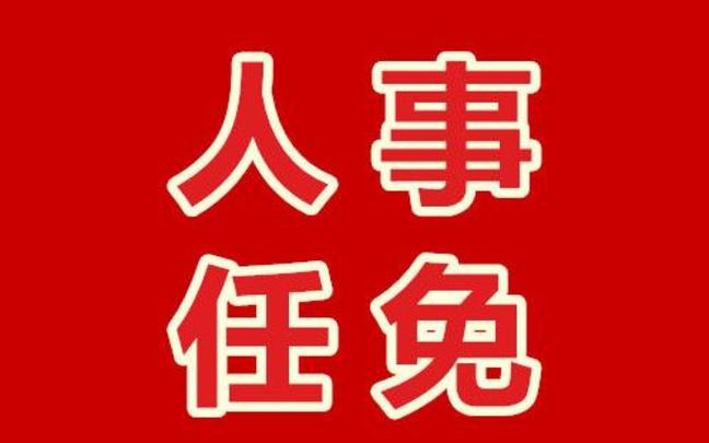 最新地方人事任免动态及其深远影响