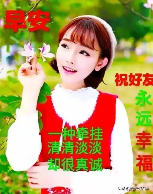 最新绝美图片，探索美的无限新领域