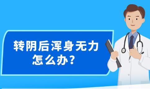 新澳精准资料免费提供网站有哪些,准确资料解释落实_ios1.98.880