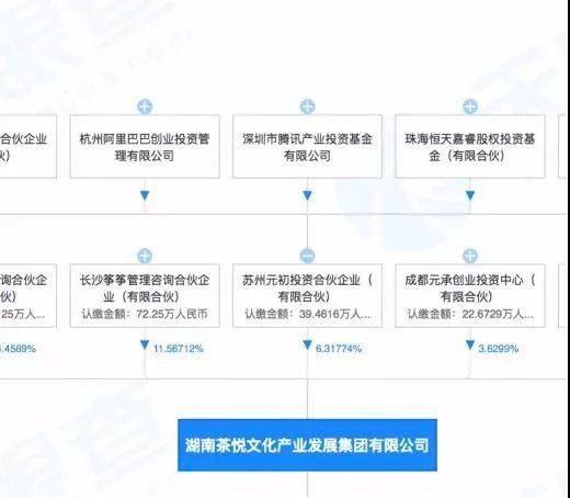 新澳精准资料免费提供510期,定制化执行方案分析_win204.310