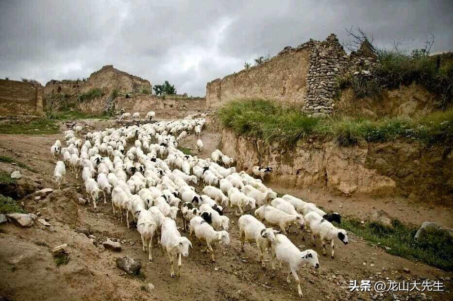 最新乡土小说的魅力及探索之路