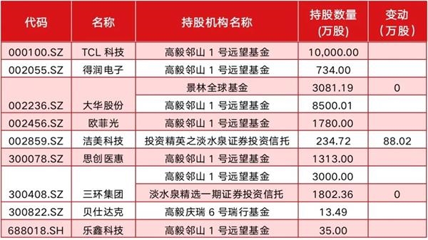 高毅最新持股动向揭秘，深度解析及前景展望