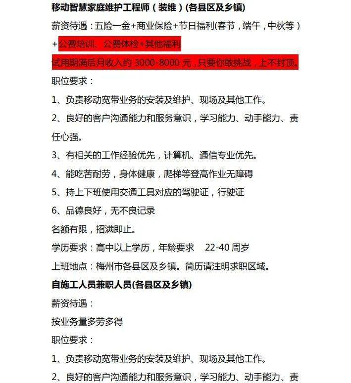 兴宁最新招聘动态及其社会影响分析