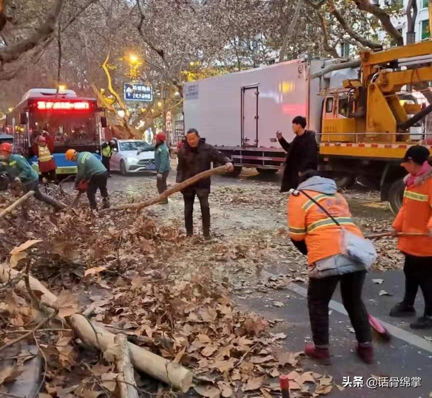 绵阳最新司机招聘，职业前景、需求与应聘指南详解