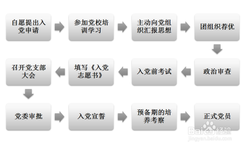 最新入党程序详解及步骤概览