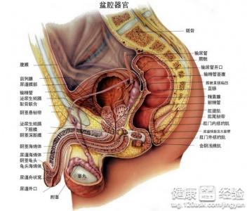 最新前列腺炎治疗方法详解与理解探索