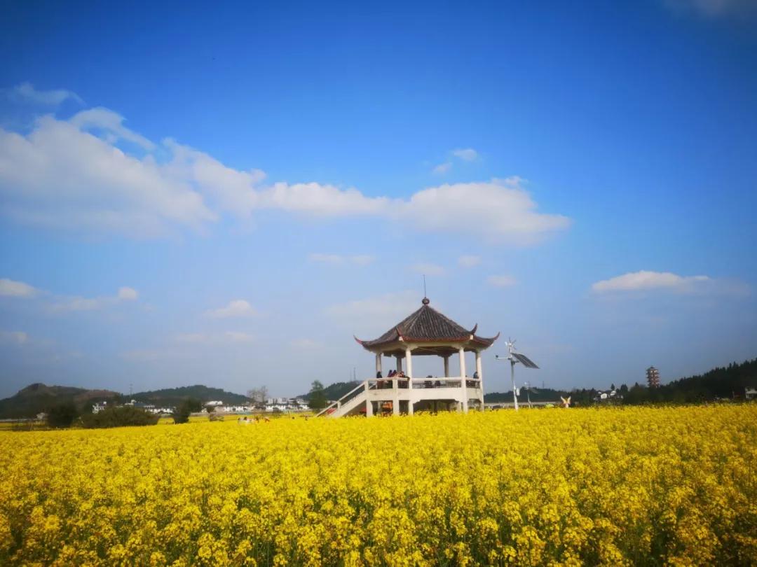 旅游新政策重塑未来旅游业的关键力量