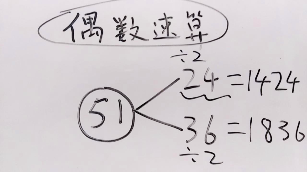 探索数字世界奥秘，最新偶数术的魅力与奥秘