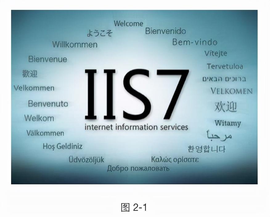 IIS最新版本的全面解析与探讨